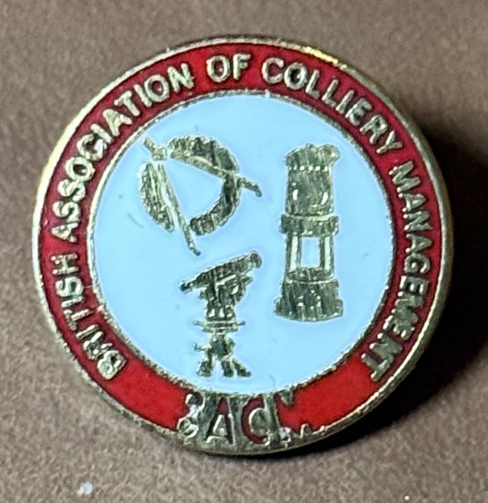 LFLY Disney Balloon - Dumbo