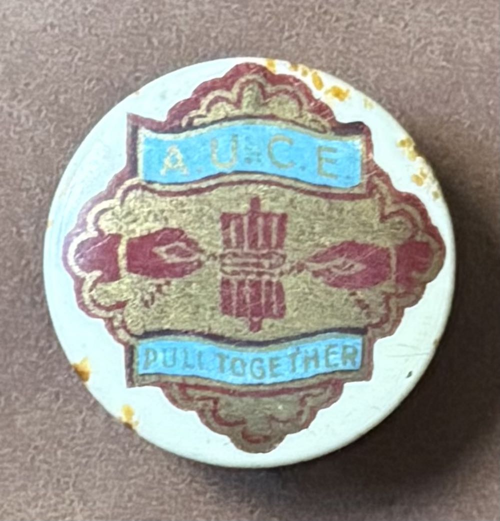 British Medical Association - Plymouth 1938 Ladies Section