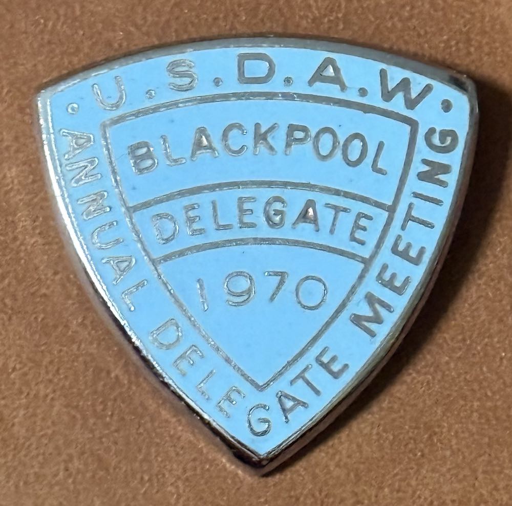 Mystical Fox Blind Box Enamel Pin By Naomi Lord Art