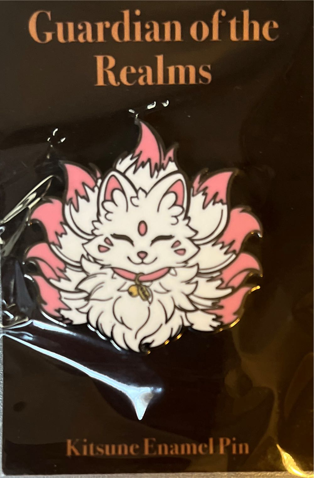 National Association of Schoolmasters - President Croydon Branch