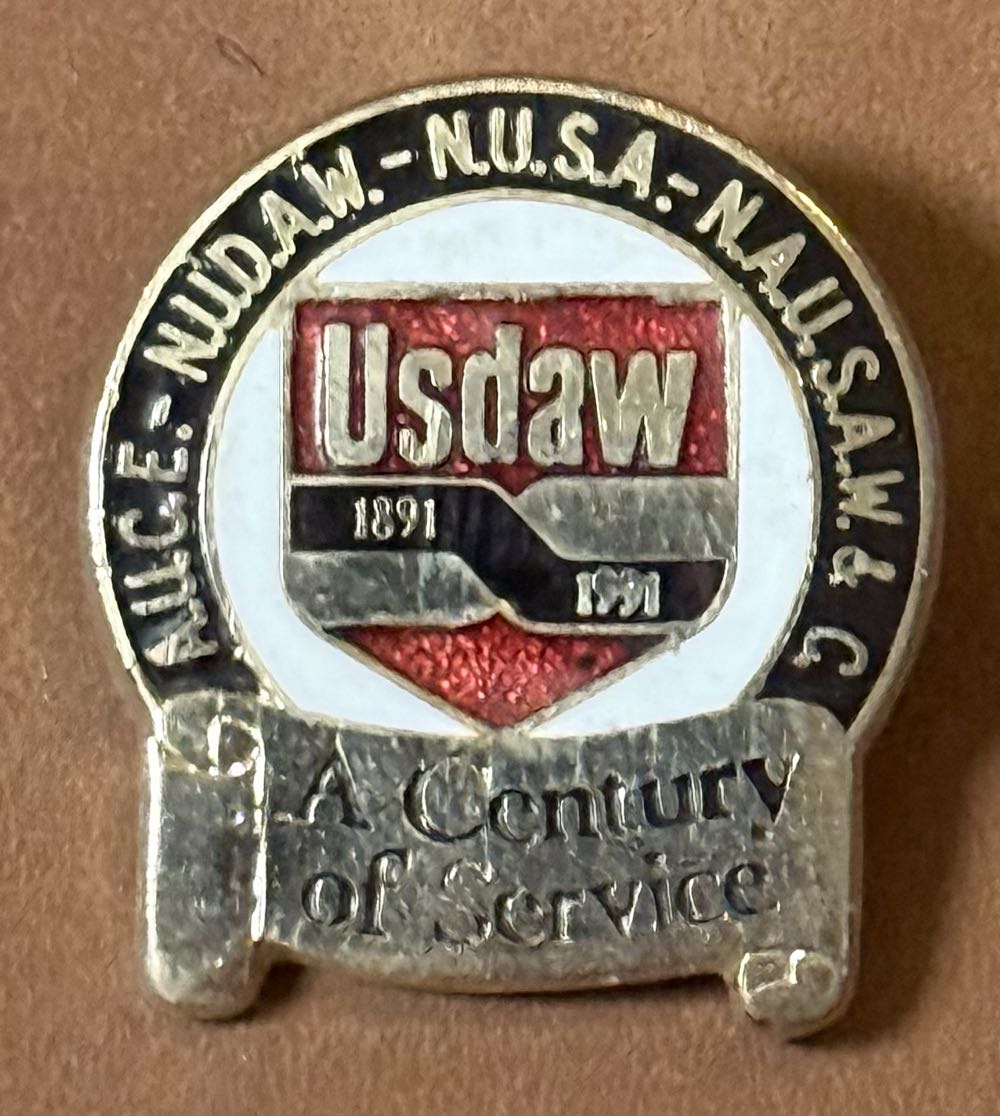 Shalltear Bloodfallen