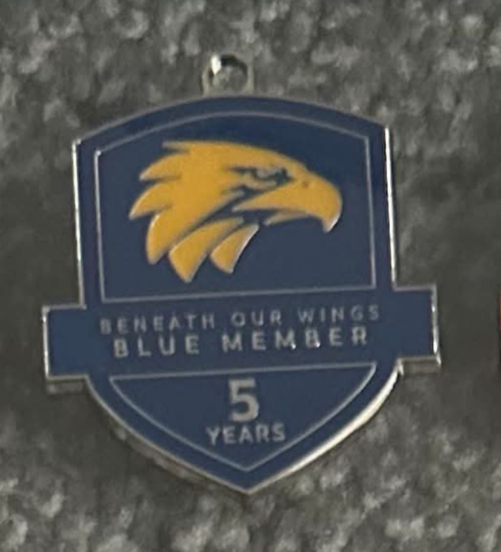 1998 WCE Member Pin ✅