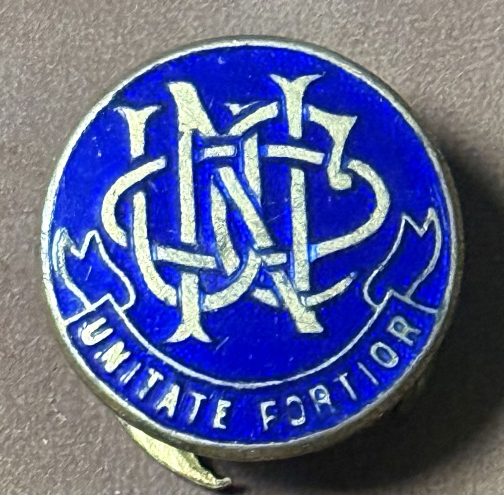 Beauty And The Beast Belle And Enchanted Rose