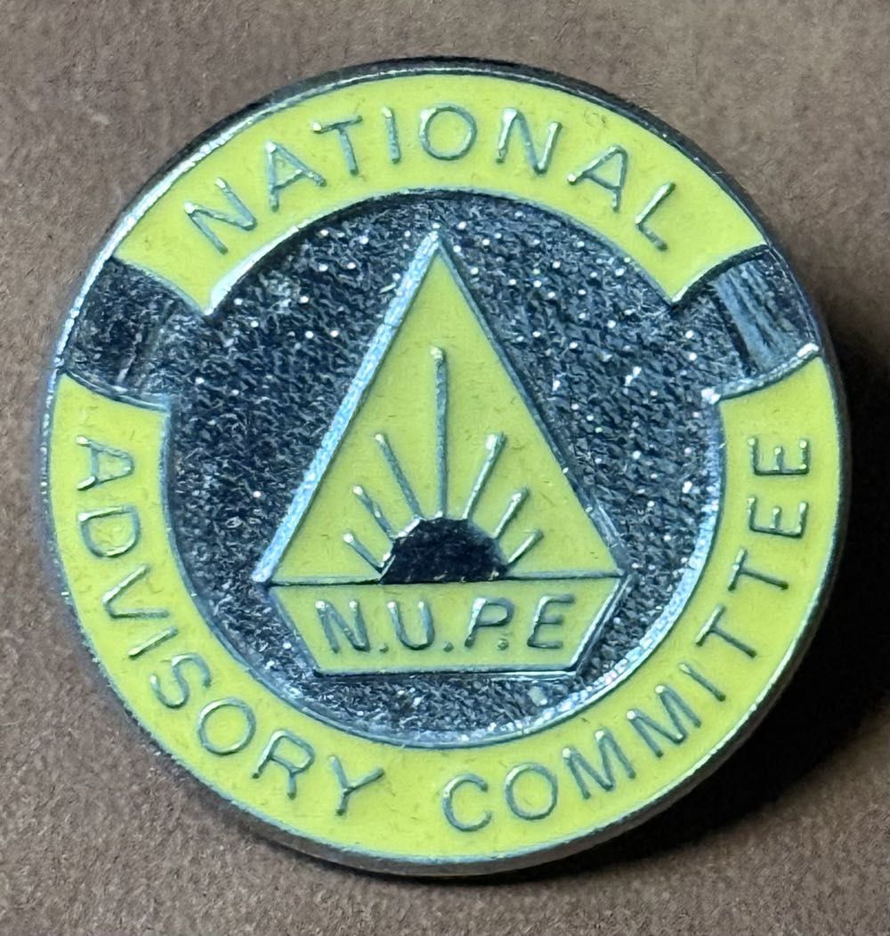 Up - Mr Fredrickson Floating With Balloons