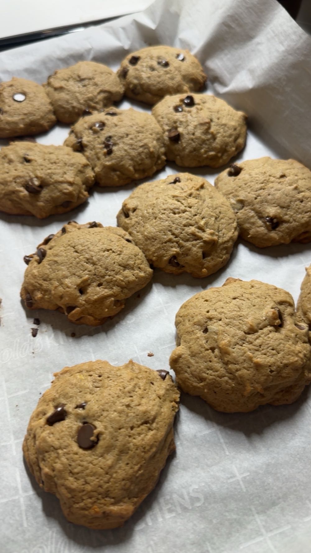 Transport and General Workers’ Union - Branch Secretary