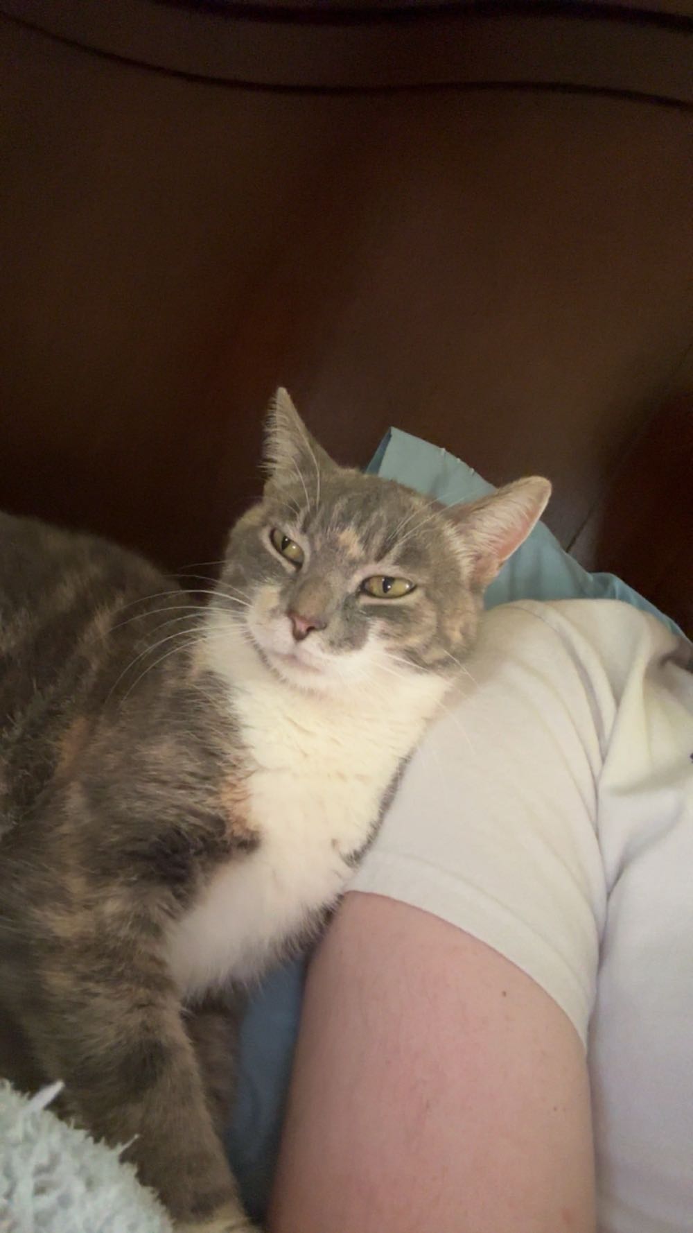 Test - Dc pin collectible - Main Image 2