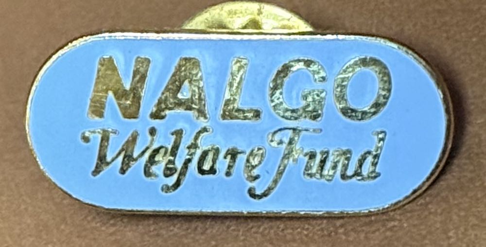 Hannah Montana Star Portrait