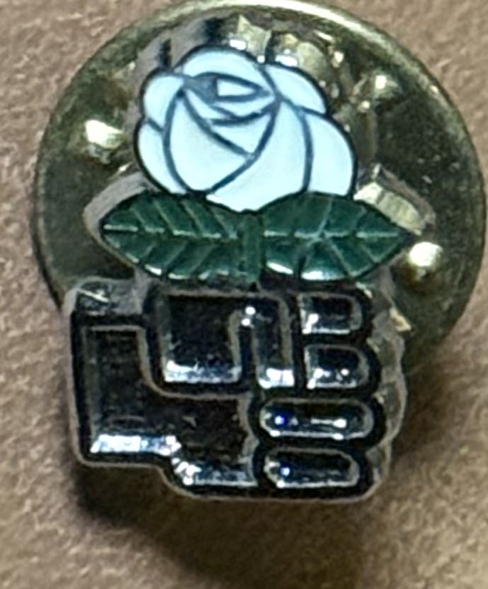 Worlds Of Pixar - DLP - Pixar Ball