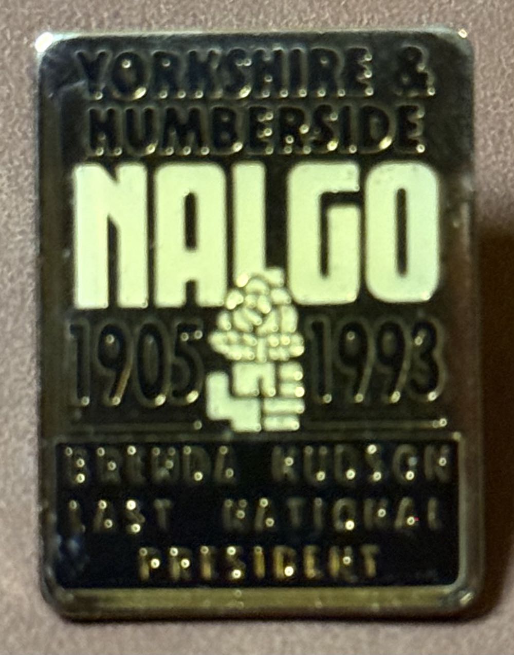 Associated Society of Locomotive Engineers and Firemen - South Wales