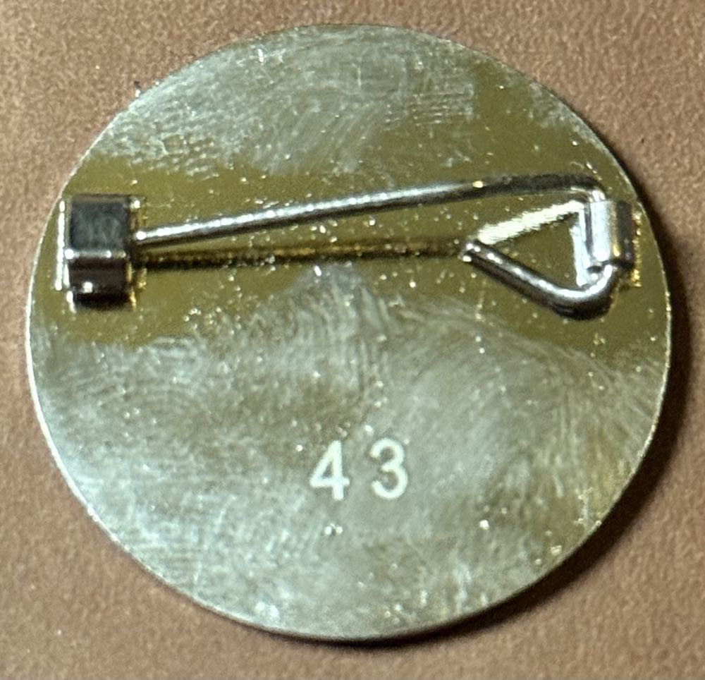 Associated Society of Locomotive Engineers and Firemen - Southern Region Dispute 2016/2017  pin collectible - Main Image 2