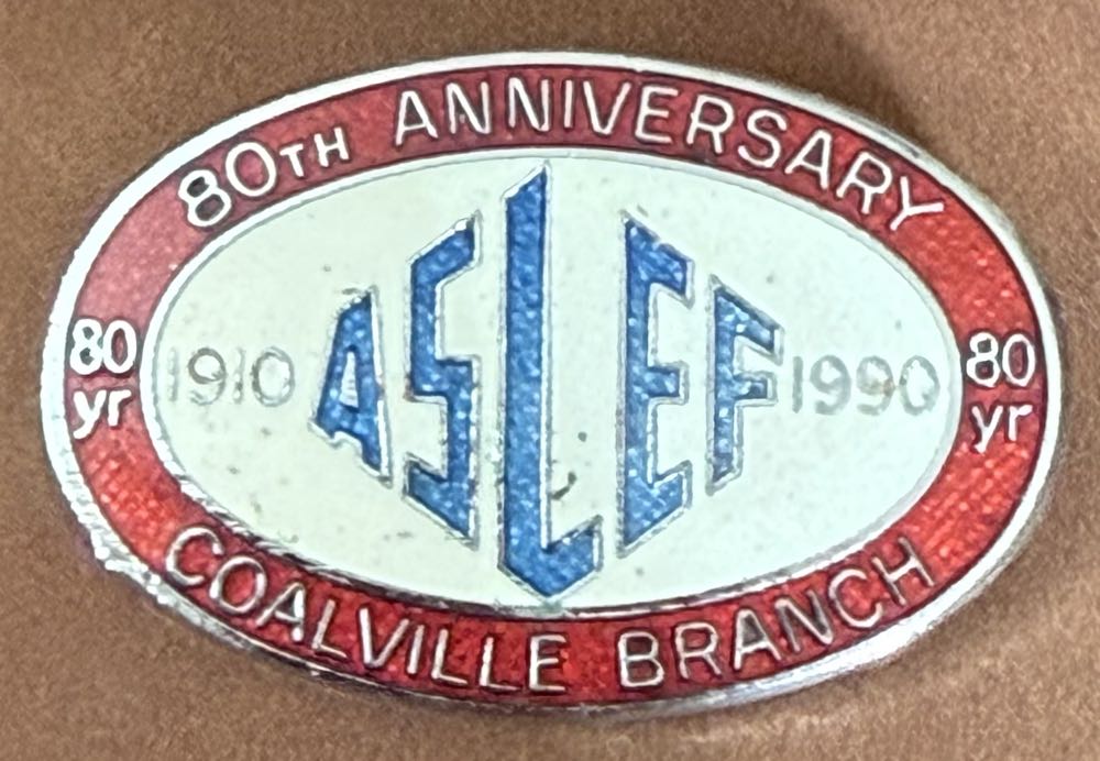 Hannah Montana Star Portrait