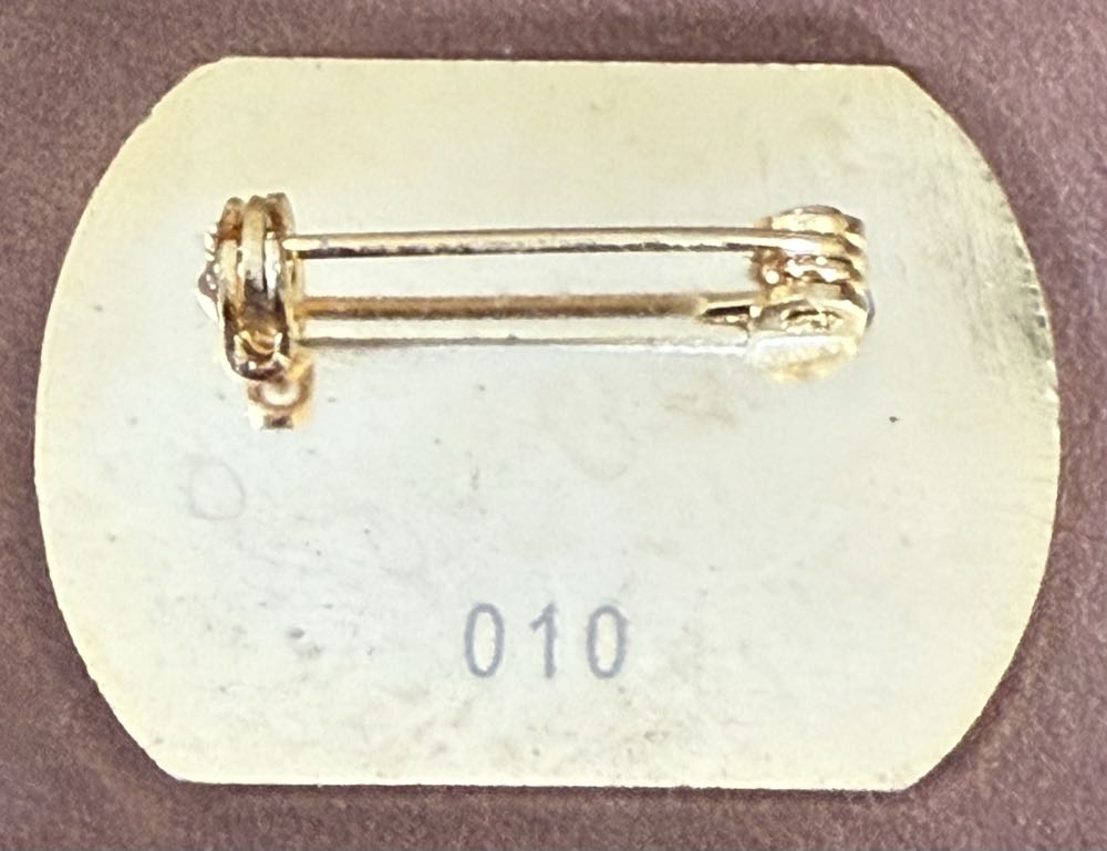 Associated Society of Locomotive Engineers and Firemen - Seaford 1982-2012  pin collectible - Main Image 2