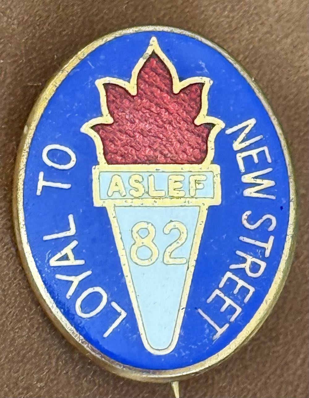 2010 WCE Member Pin ✅