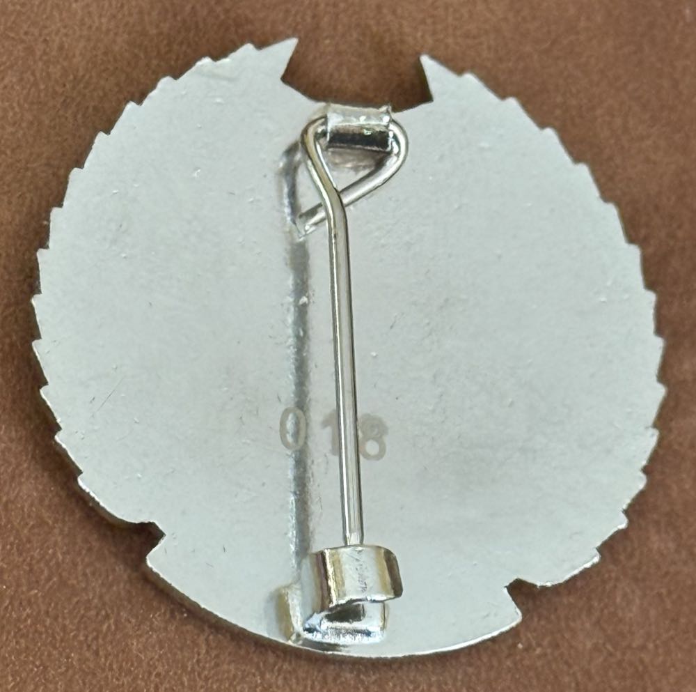 Associated Society of Locomotive Engineers and Firemen - Hither Green Branch 1982-2007  pin collectible - Main Image 2