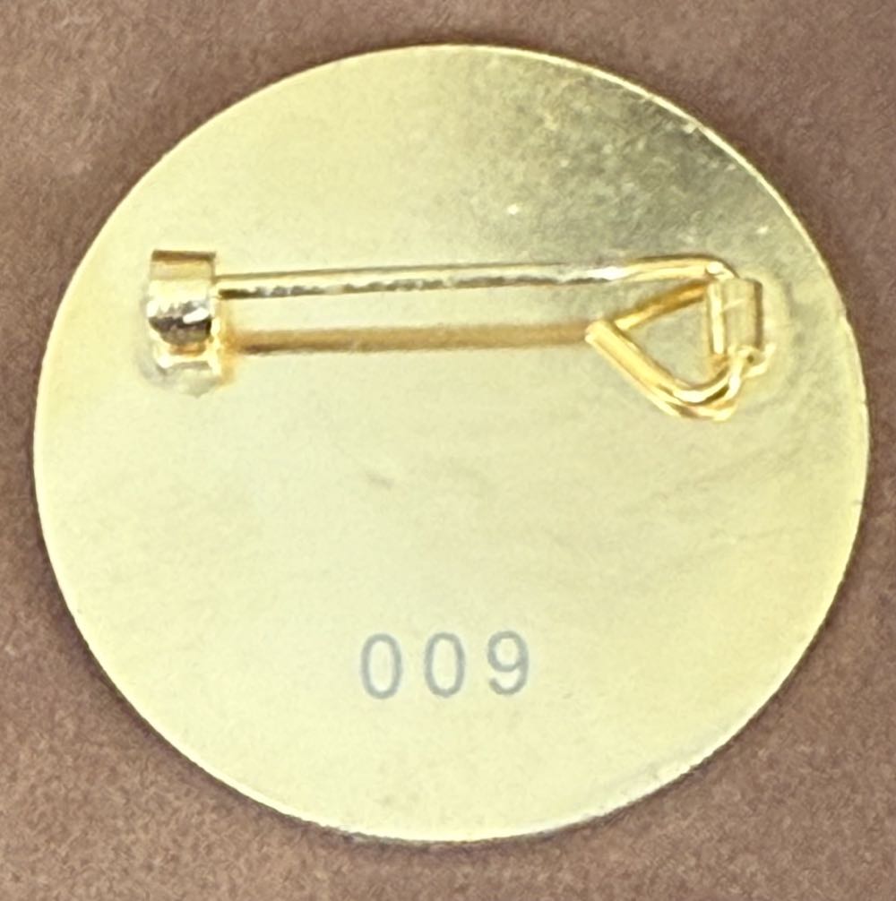 Associated Society of Locomotive Engineers and Firemen/National Union of Rail, Maritime and Transport Workers - One 2004-2008  pin collectible - Main Image 2