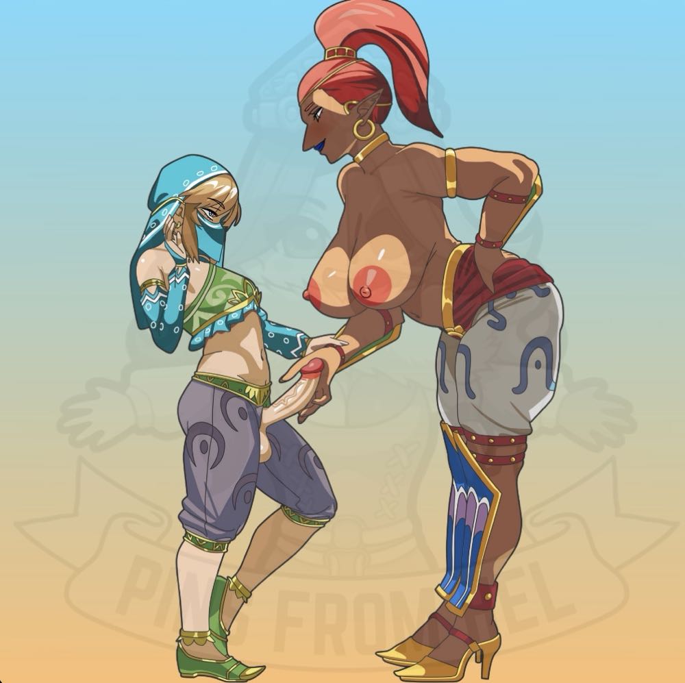 Gerudo Hospitality Princess