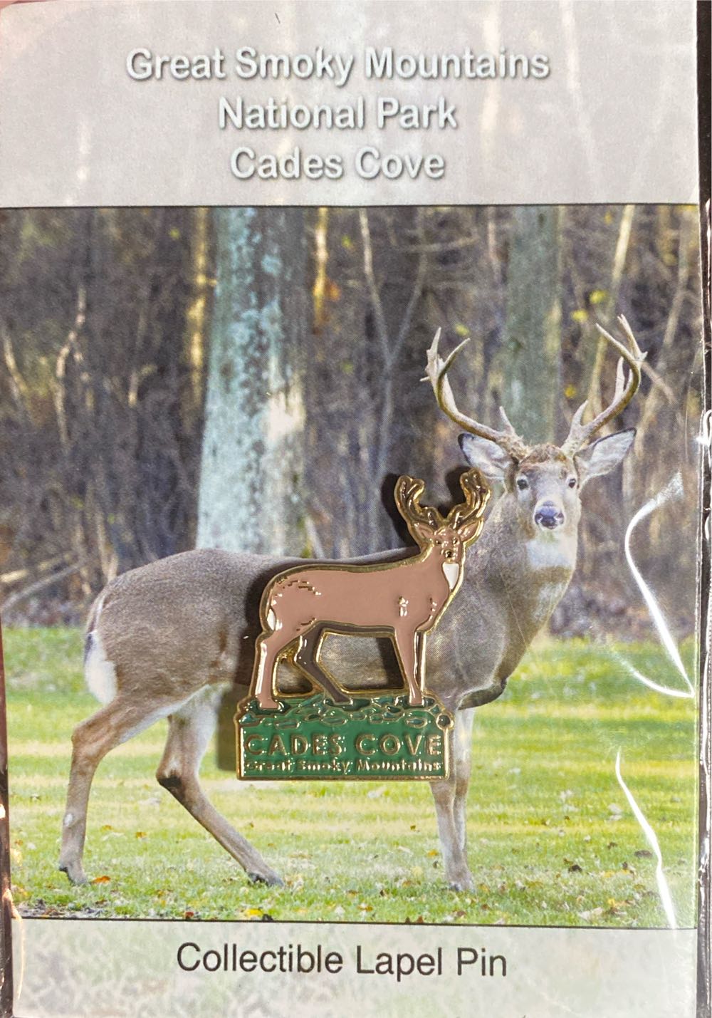 United Kingdom Society of Coachmakers