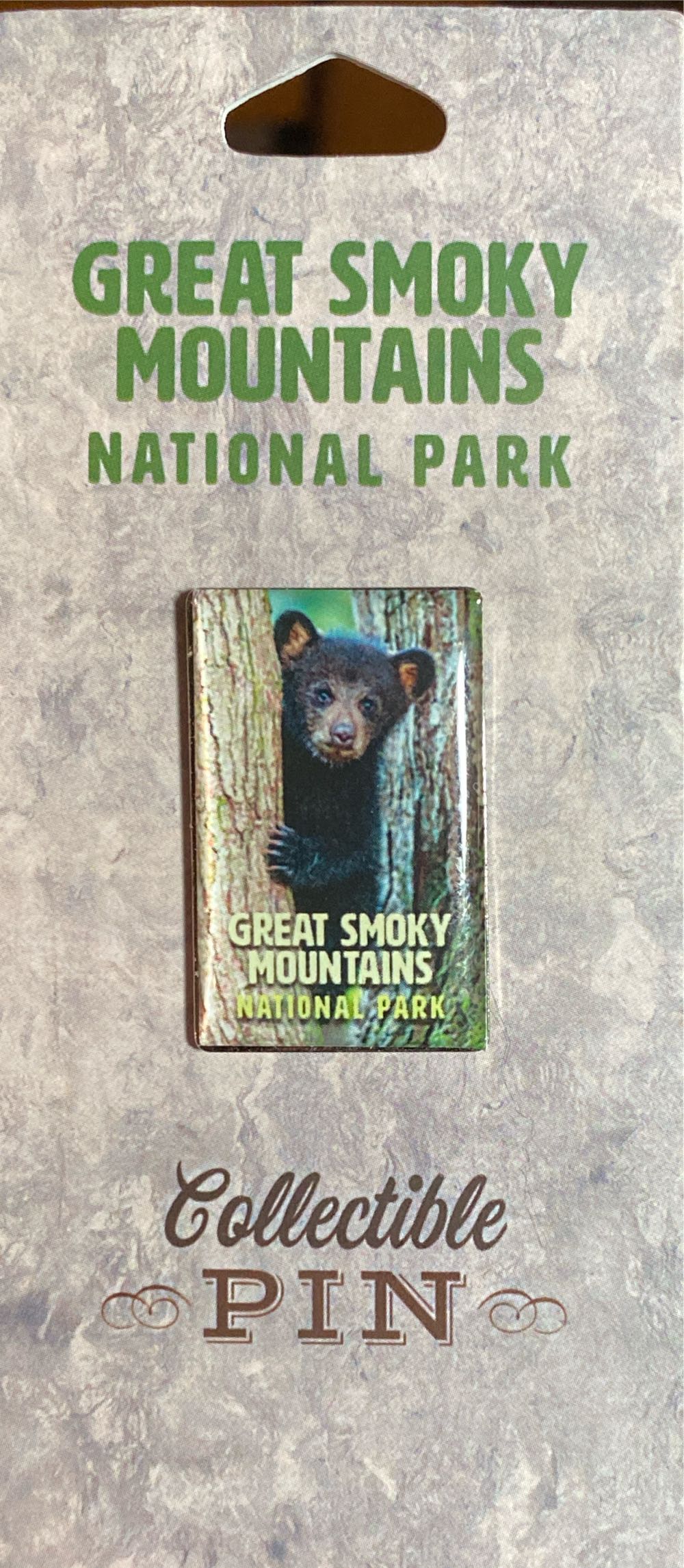 National Union of Teachers: President - Louth and East Lincolnshire