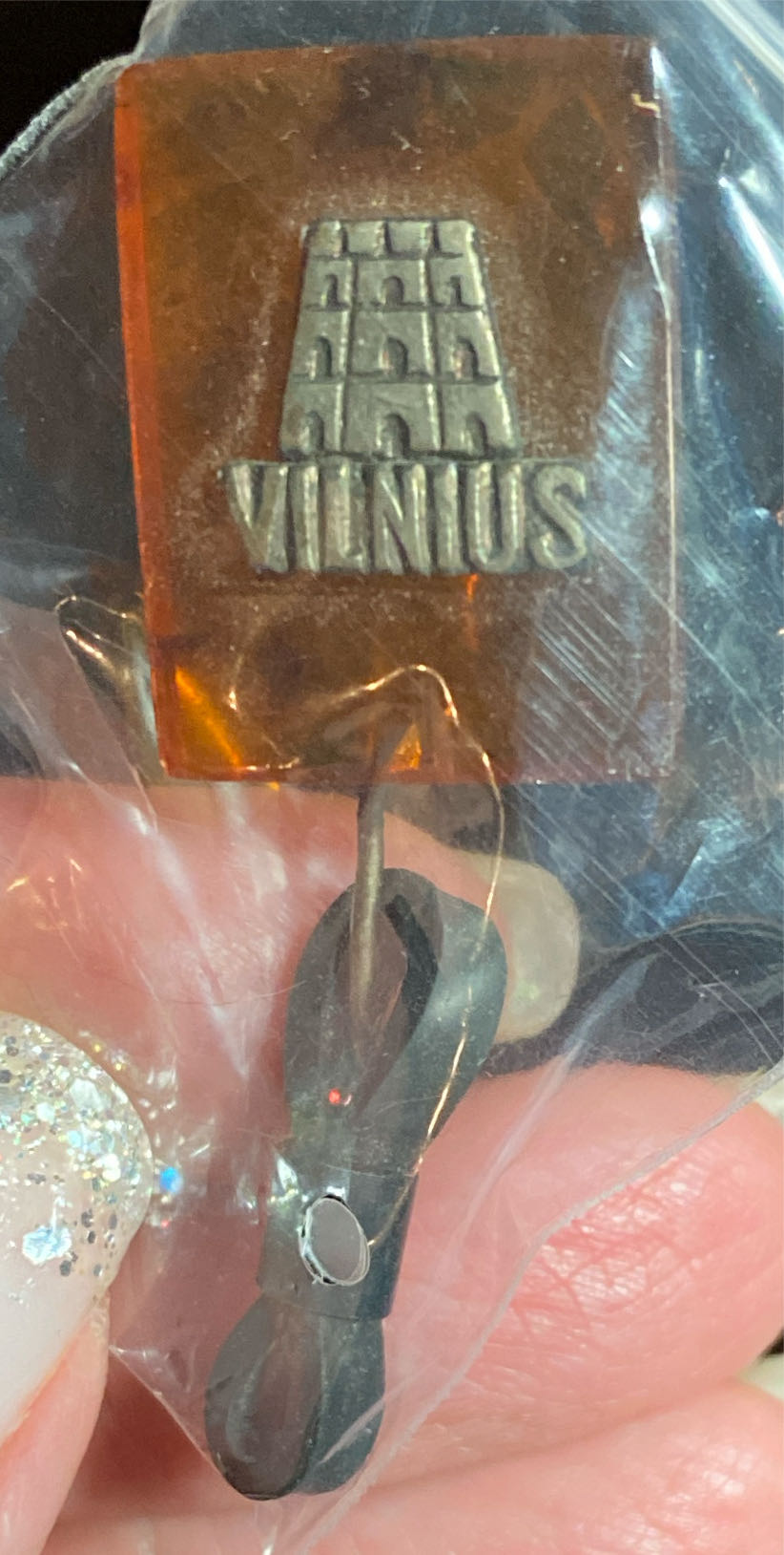 National and Local Government Officers’ Association - Conference 1993