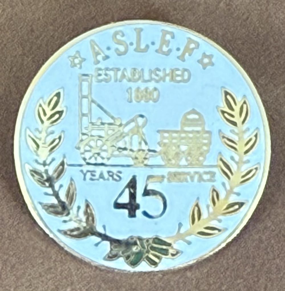 Confederation of Health Service Employees - Bear Ambulance Man