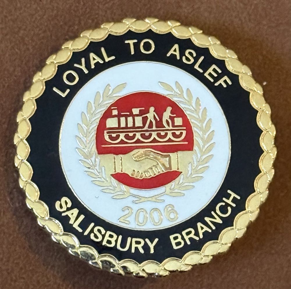 2025 WCE Member Pin ✅