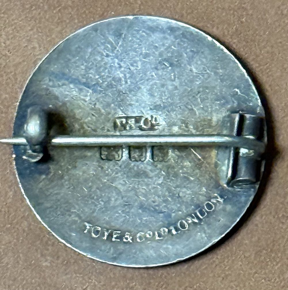 Women Public Health Officers’ Association  pin collectible - Main Image 2