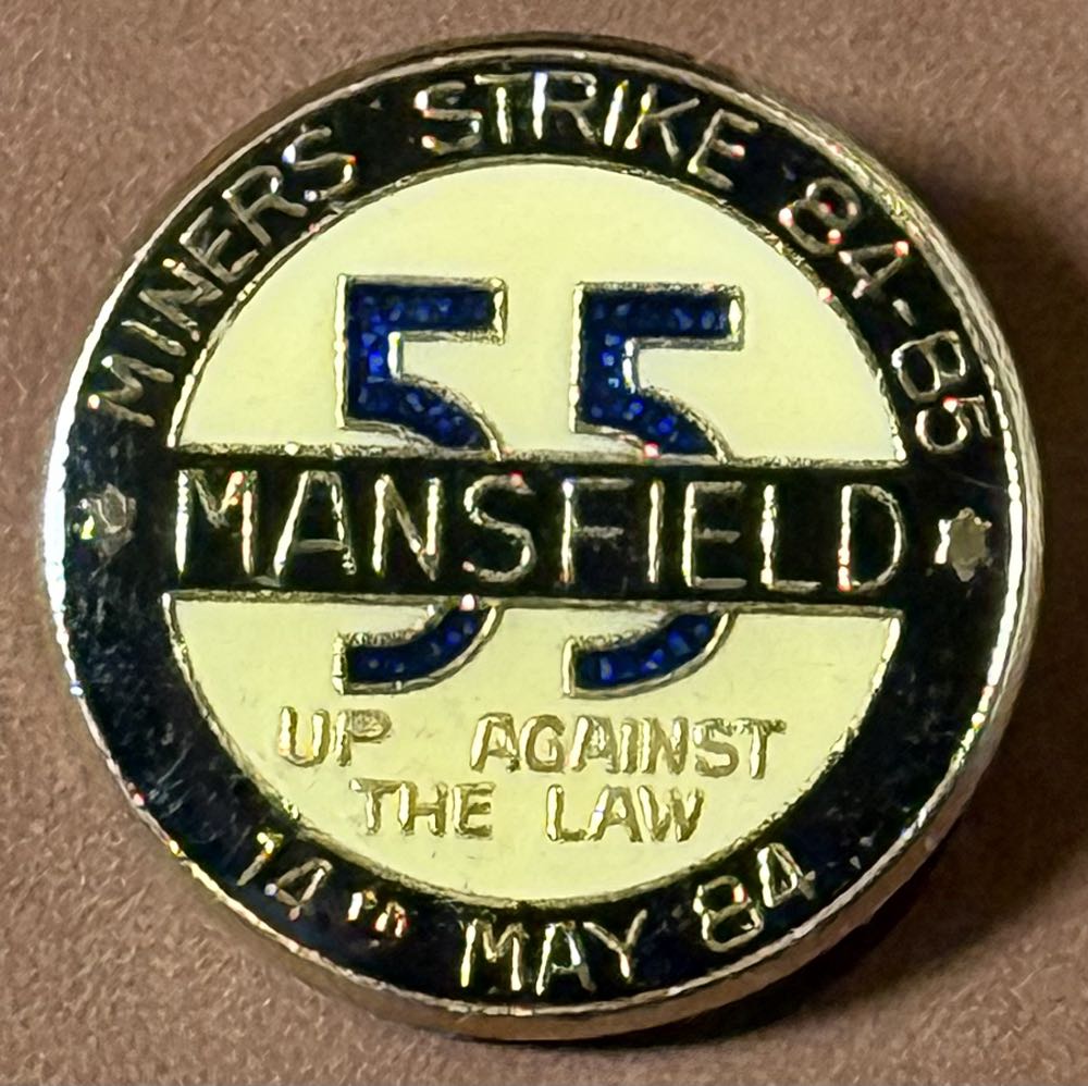 Costa Rica Blue Butterfly