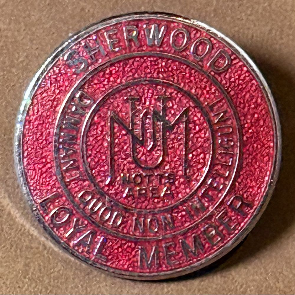 Associated Society of Locomotive Engineers and Firemen - Parkeston 1982