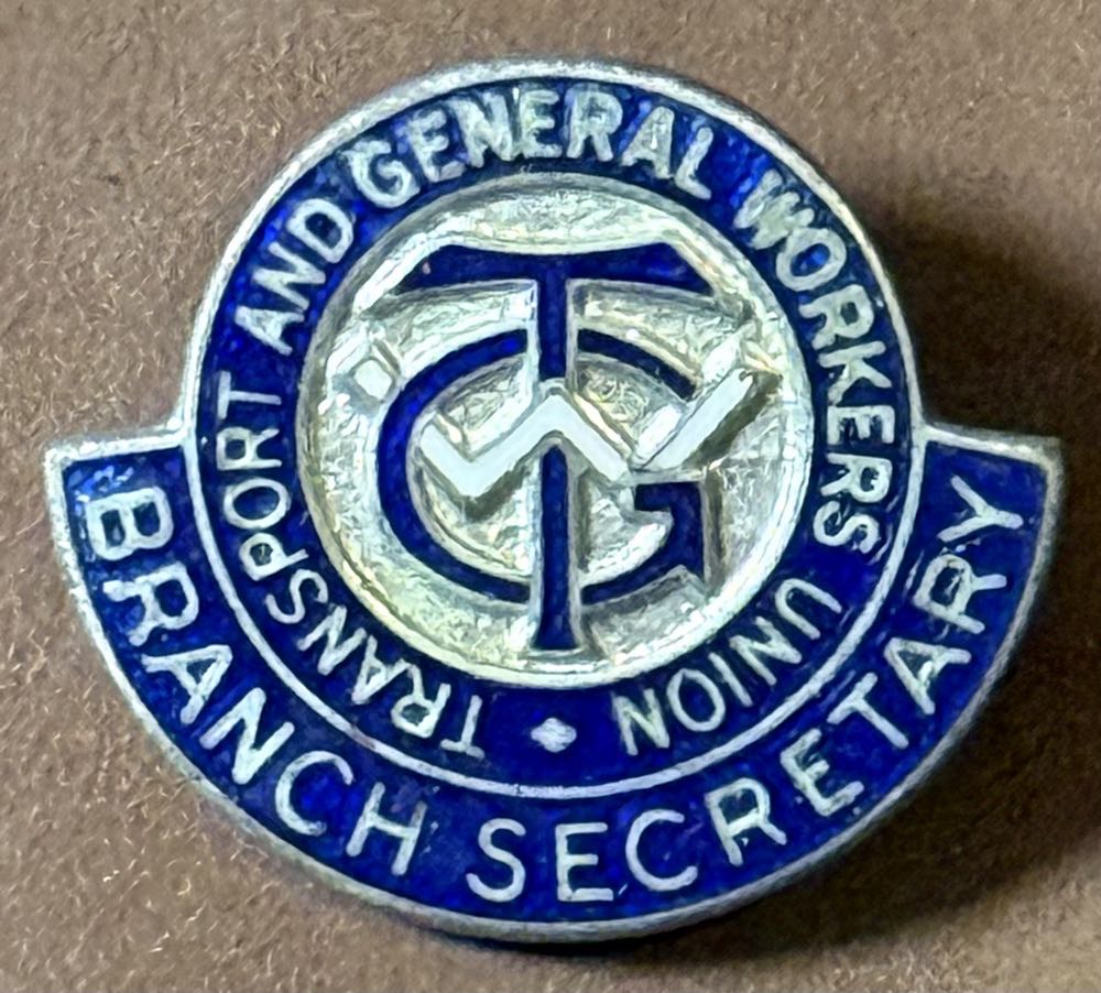 Stainglass Familiars (Shinny)