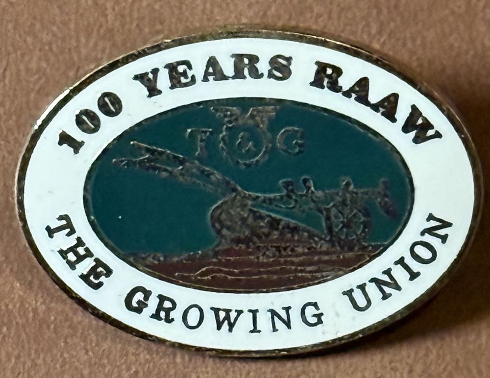 Confederation of Health Service Employees - Bear Ancillary Worker