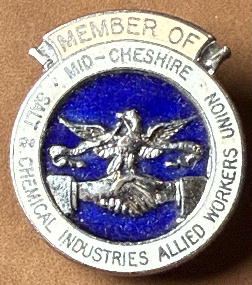 HHN 2023 Stranger Things Chaser Pin