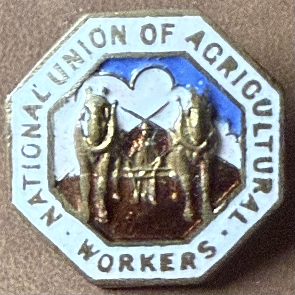 Stitch: 70th Anniversary