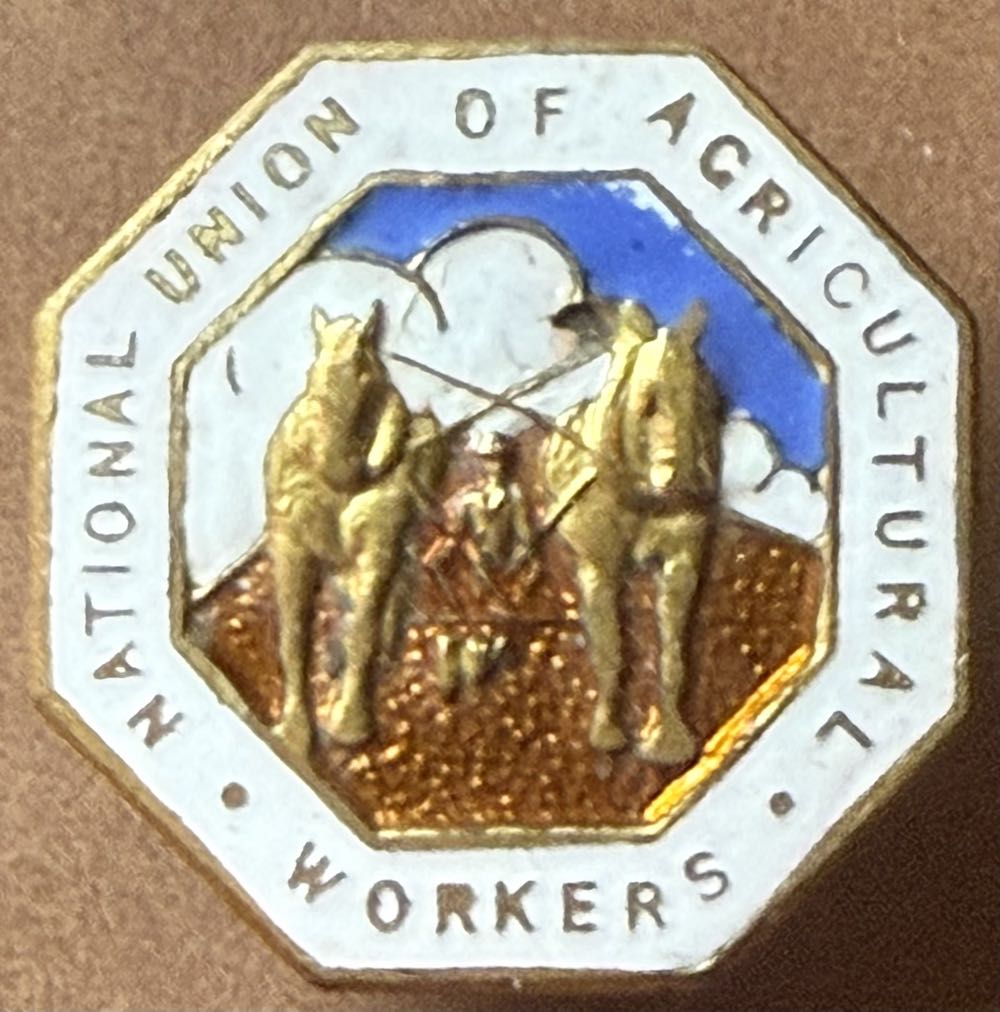 Disneyland Paris Mickey Minnie Chateau Halloween Dlp Disneypins Oe Pins