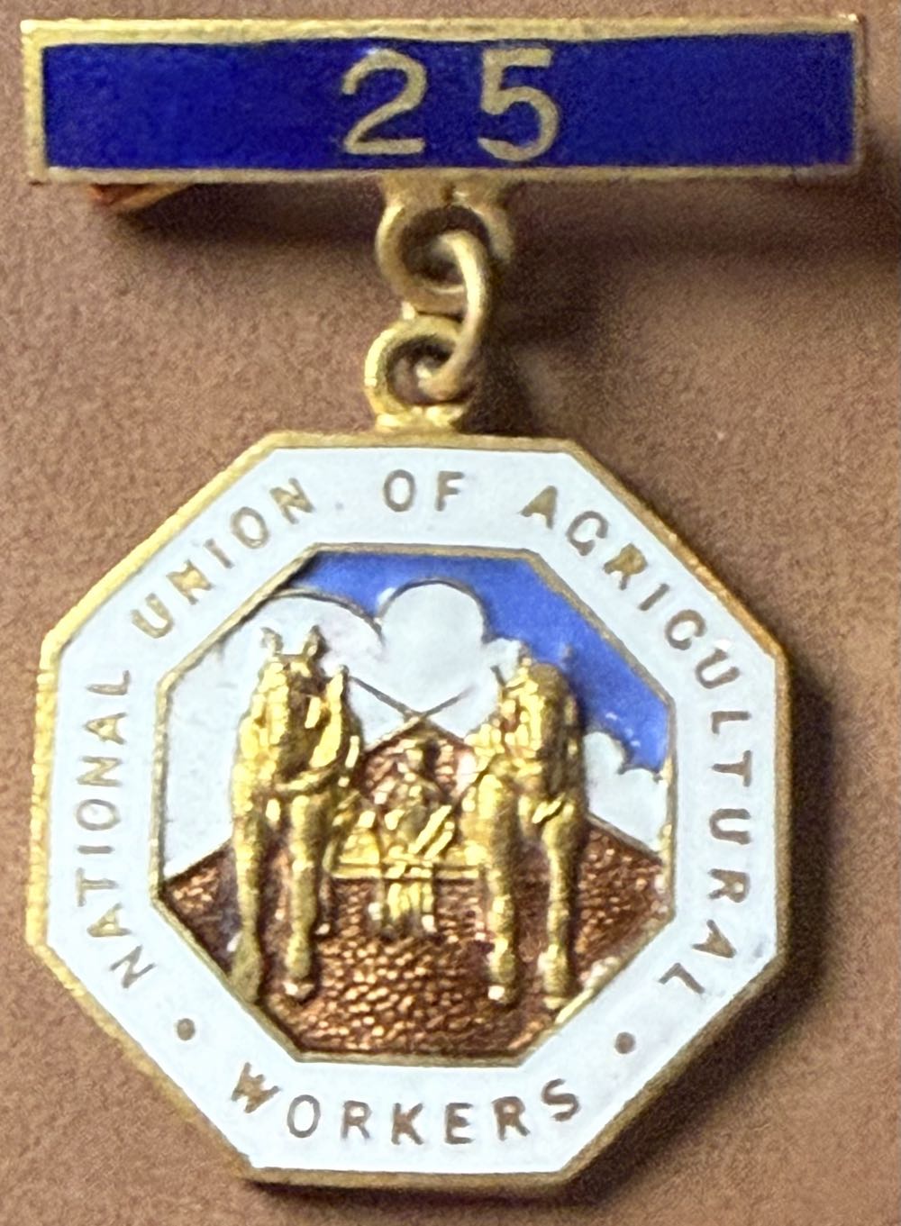 National Union of Mineworkers - Maesteg 1984-2009