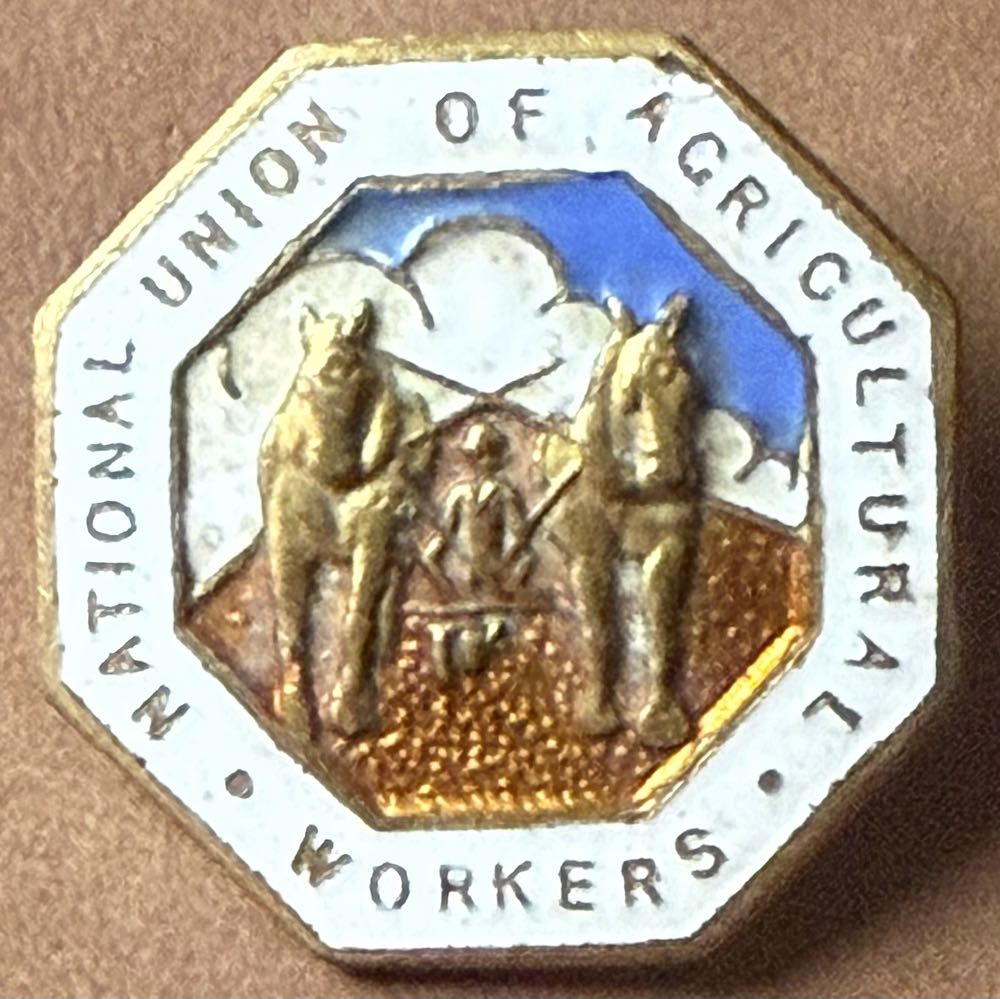 Stitch Rainbow Disney