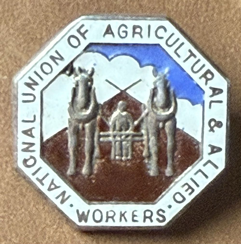 Associated Society of Locomotive Engineers and Firemen - Cambridge Branch 1905-1985