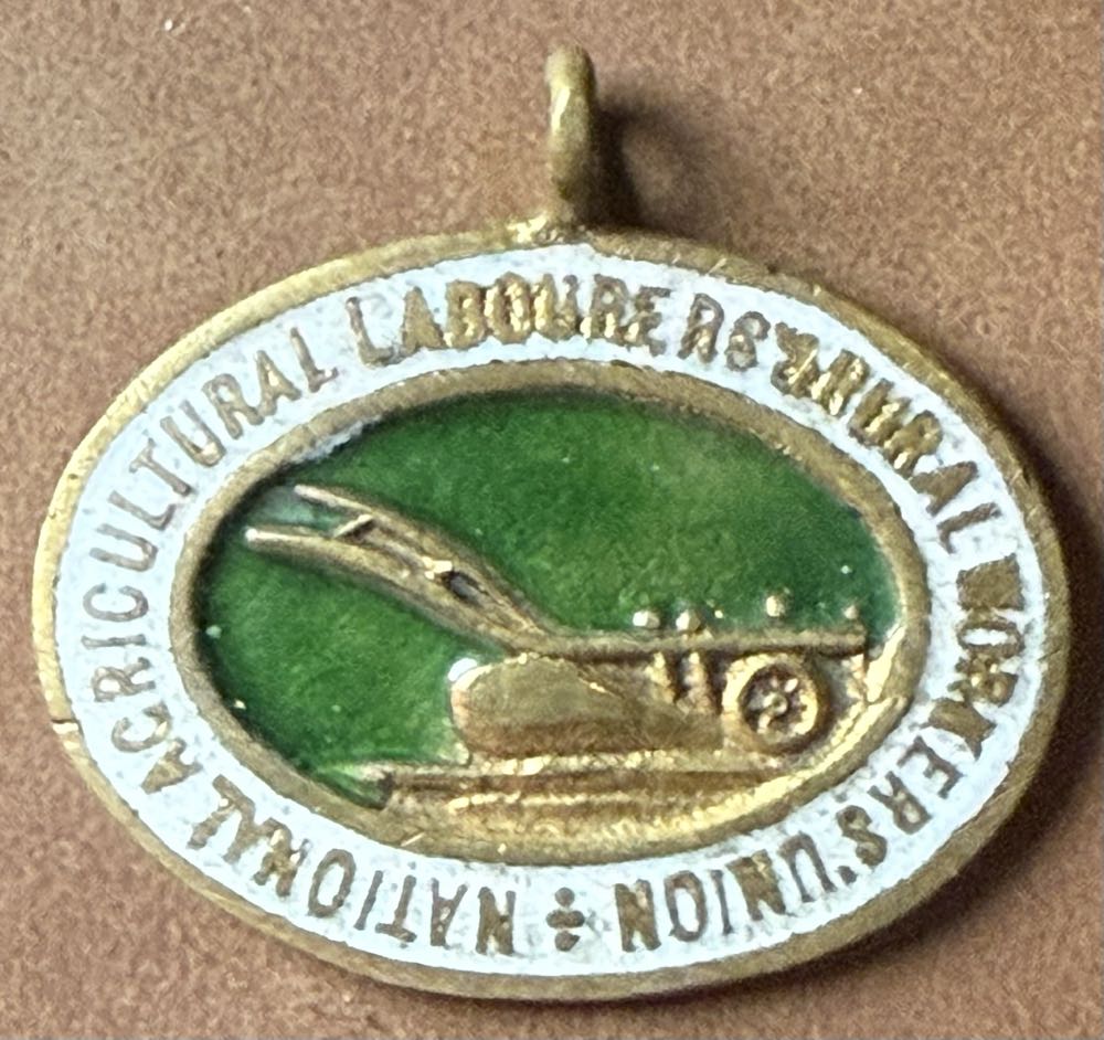 3 Little Pigs Mystery