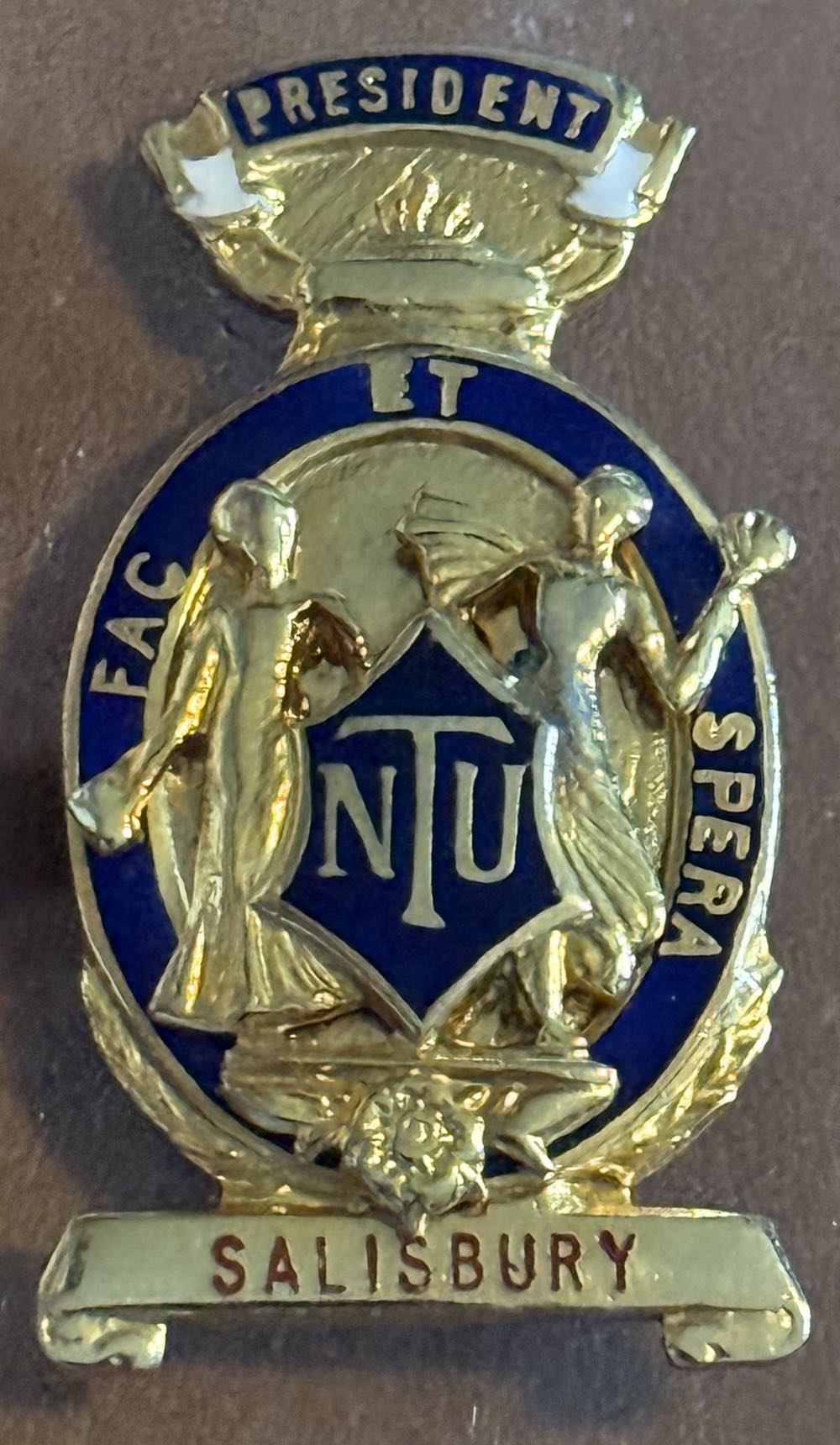 WDW - Disney Epcot Food & Wine Festival Lr Pin Passport Glittery Figment