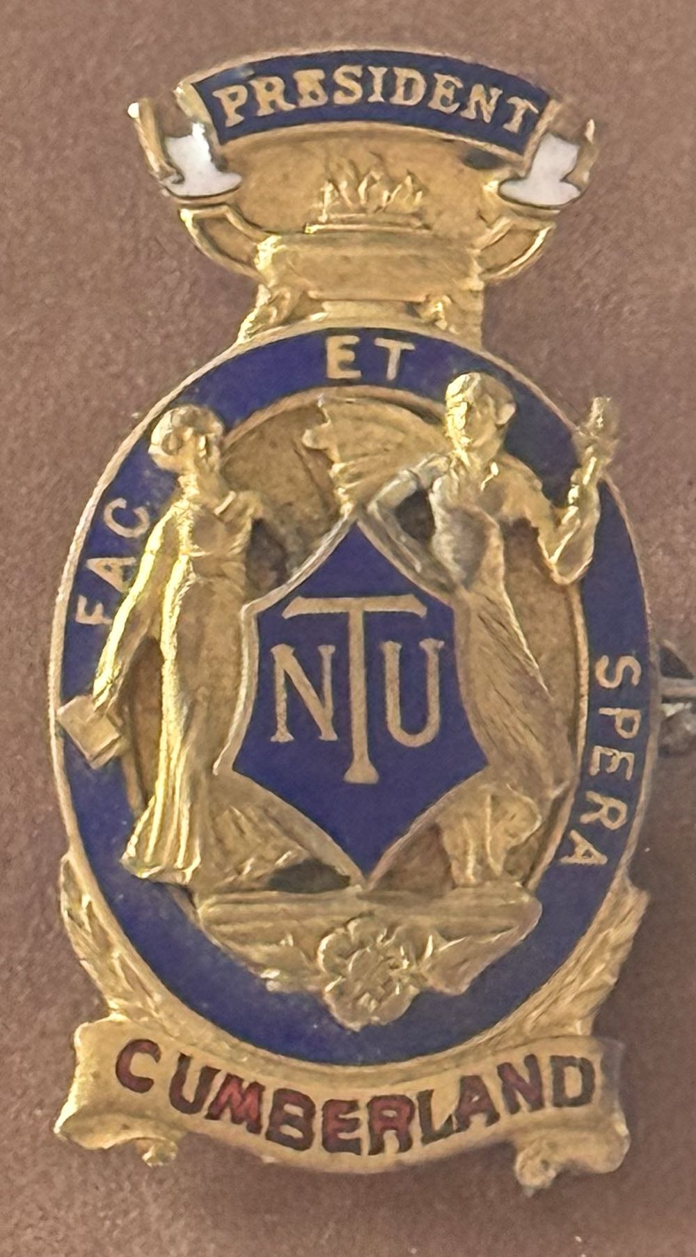 Loungefly Stitch With Ducklings