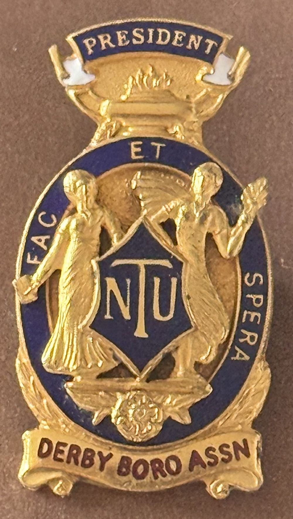 Amalgamated Engineering Union - Senior Colman Dispute