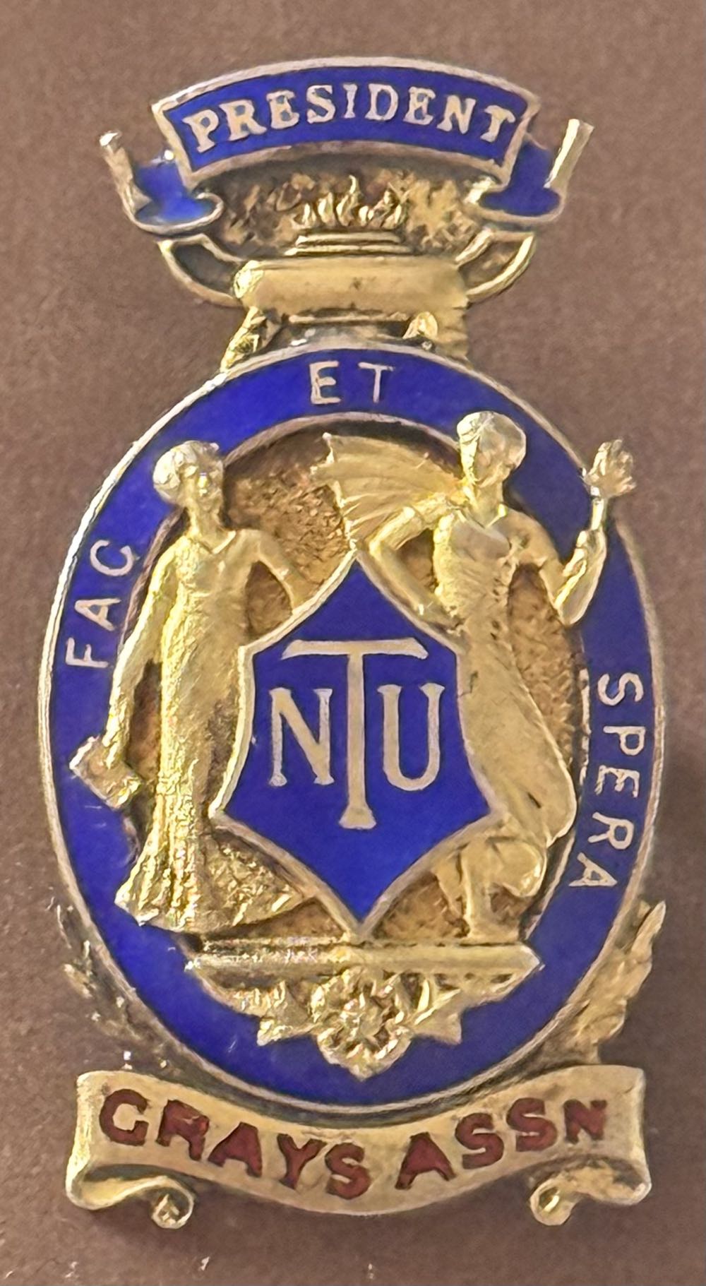 Bear In The Big Blue House Flap Pin