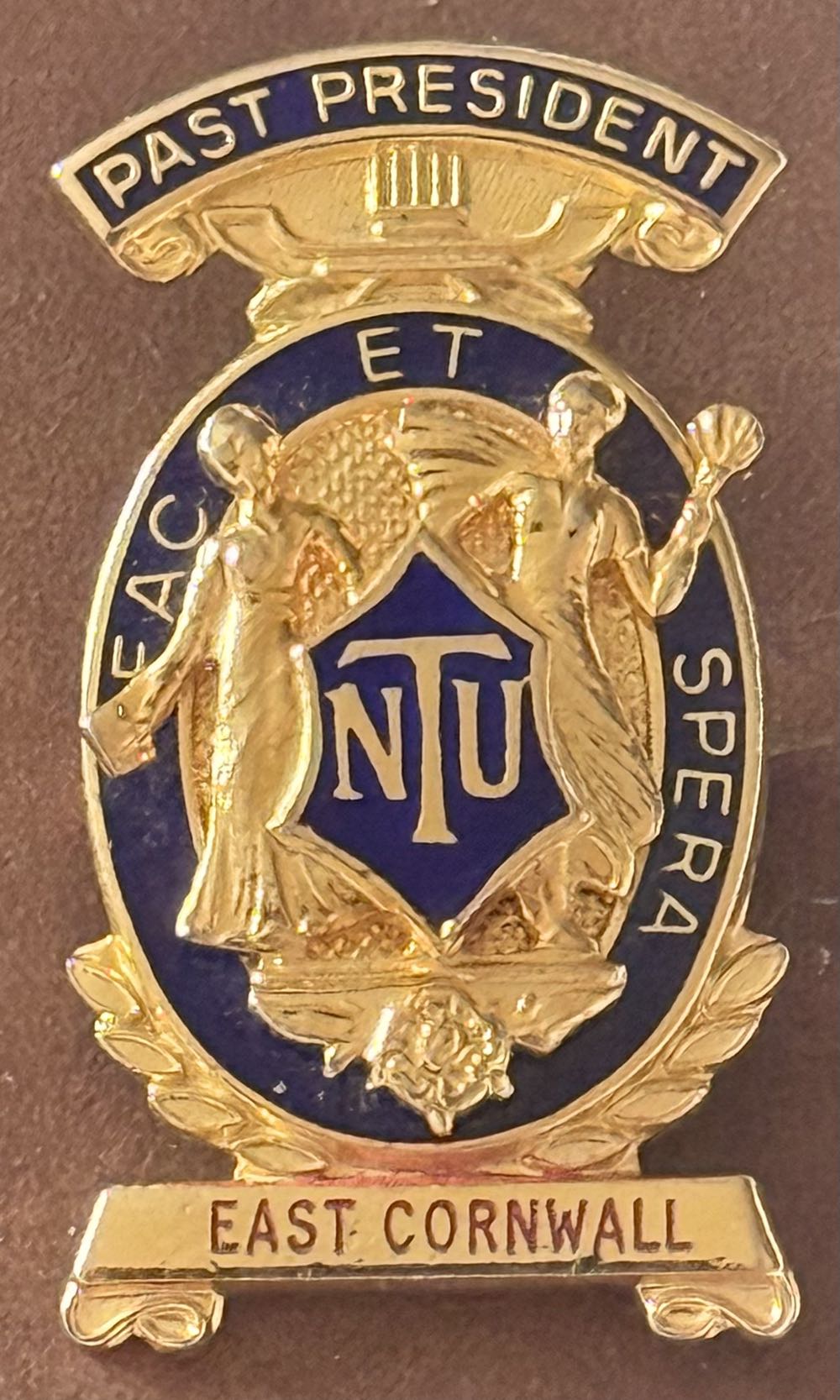 Mcdonalds Good Earth