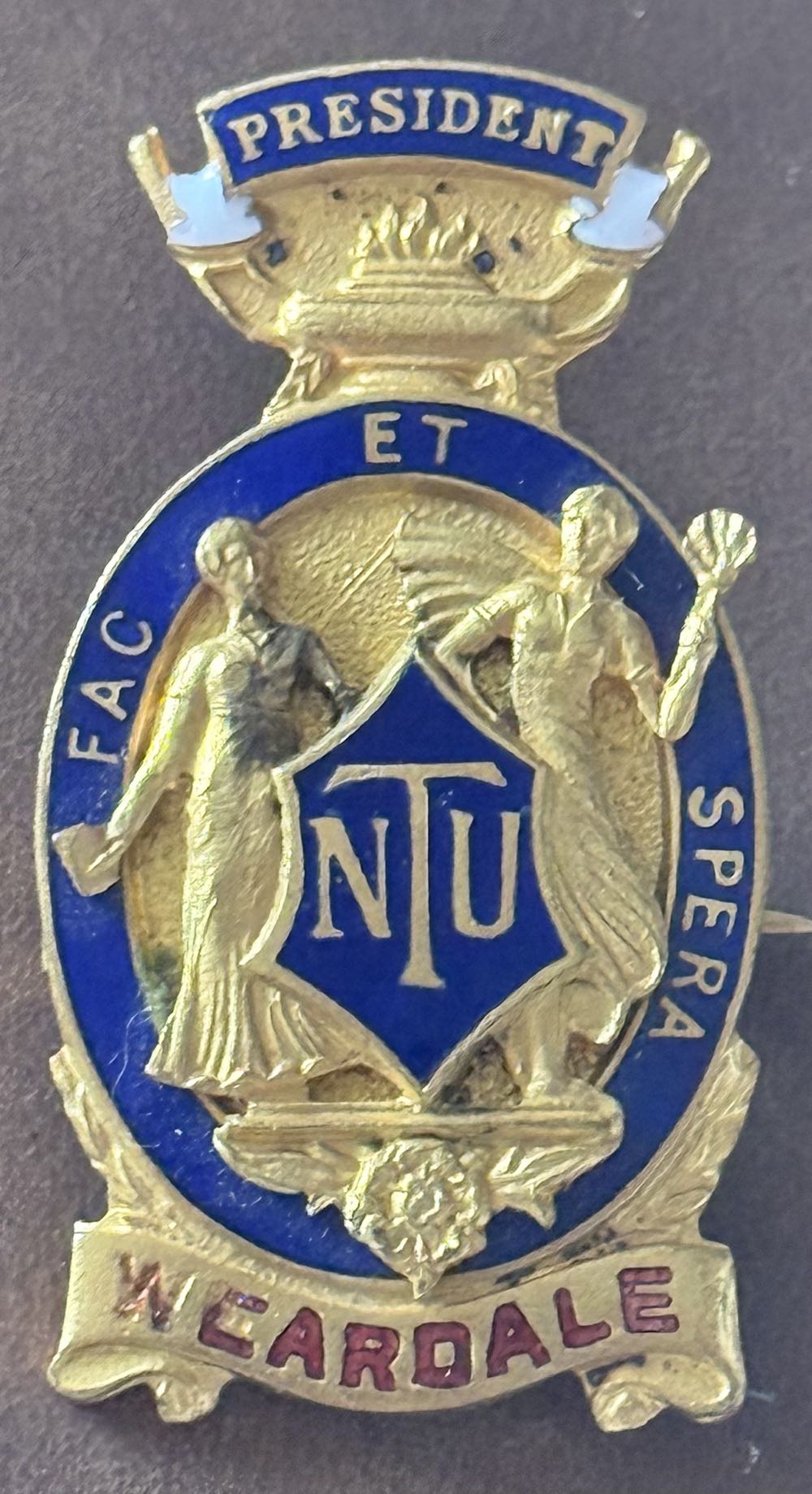 Stitch: 70th Anniversary