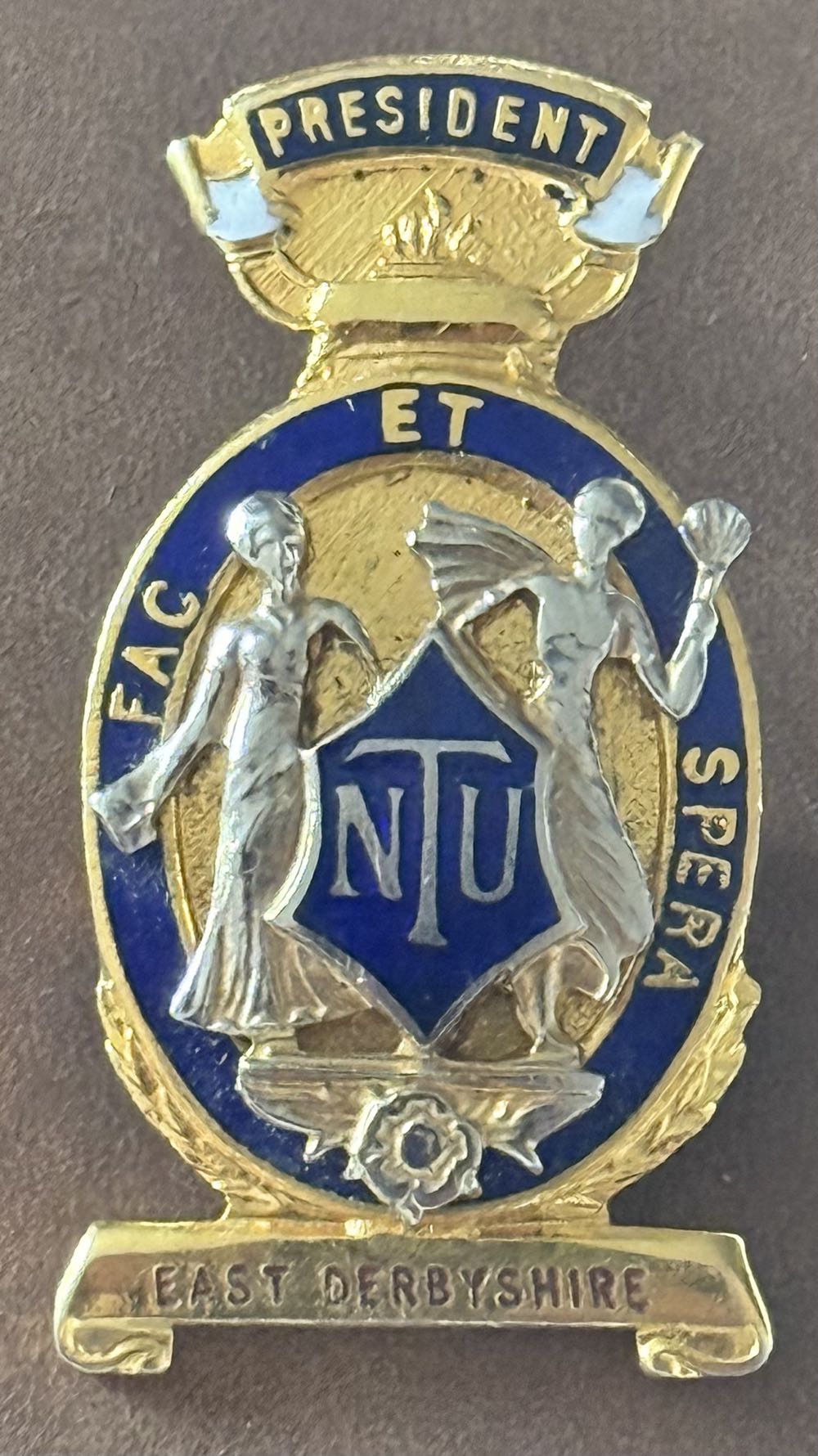 Amicus - Safety Representative