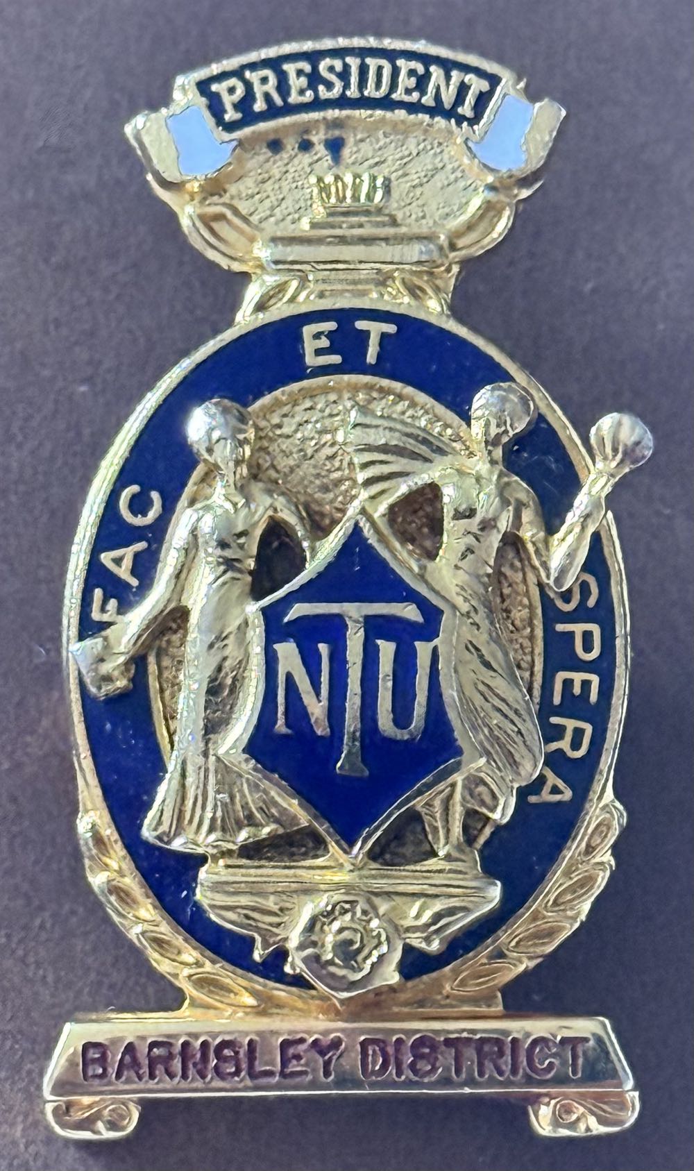 Great Smoky Mountains National Park Black Bear