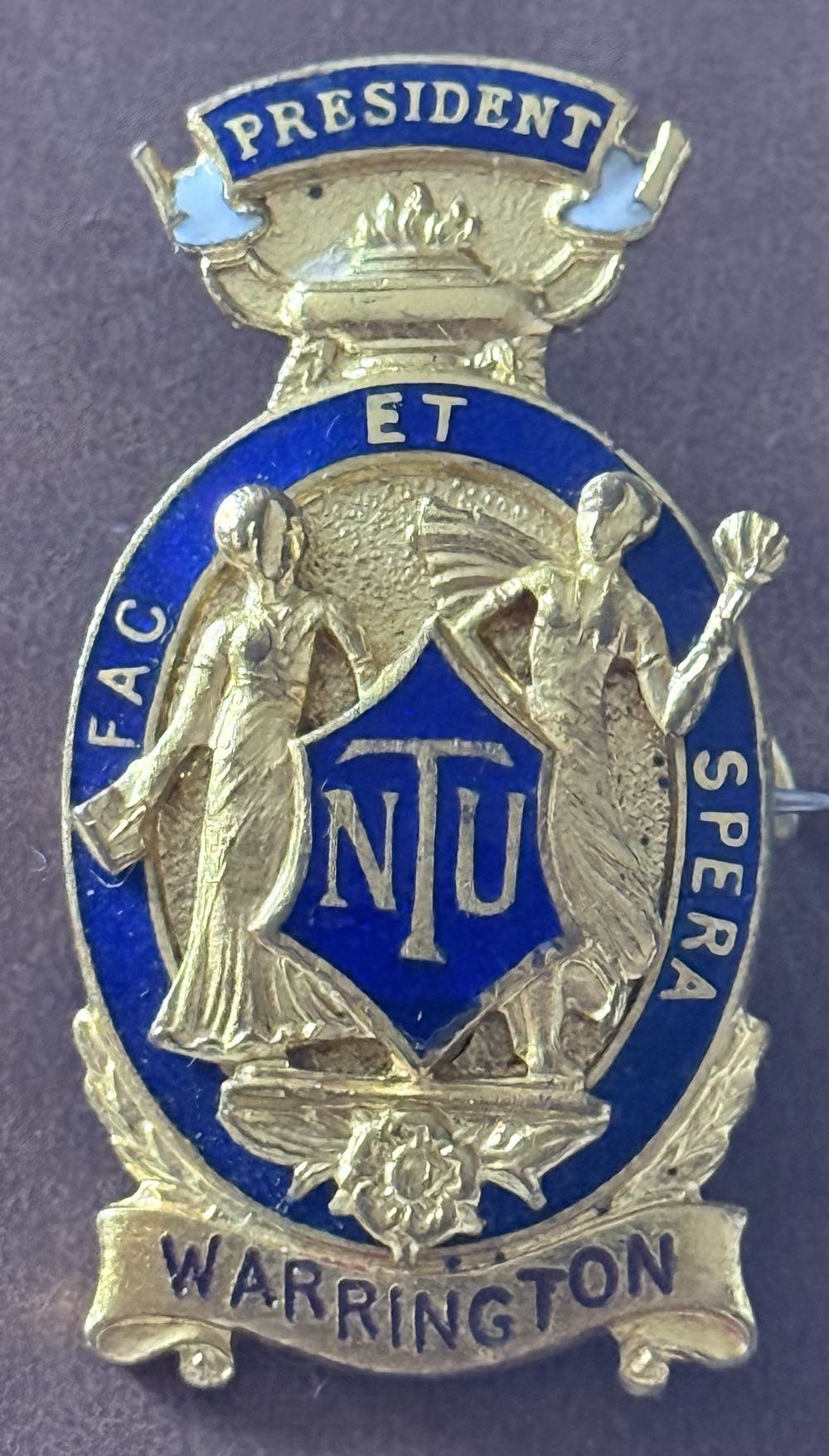 National Union of Teachers: President - Pontyclun