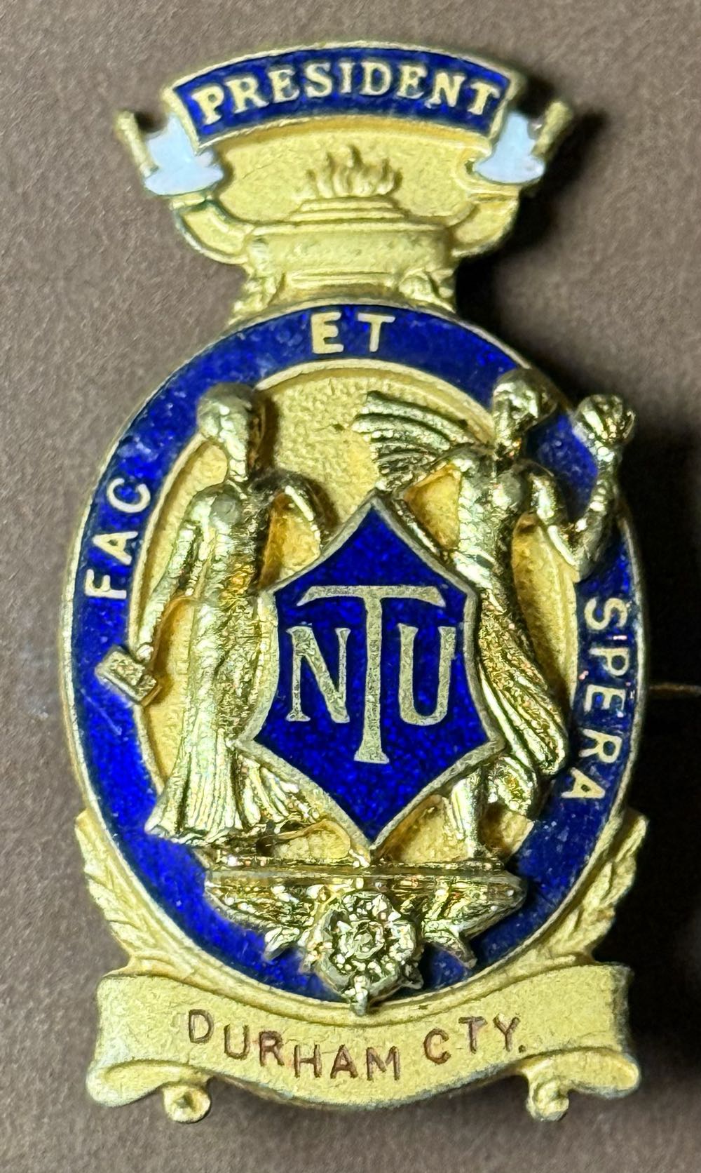 National Union of Teachers: President - Southall