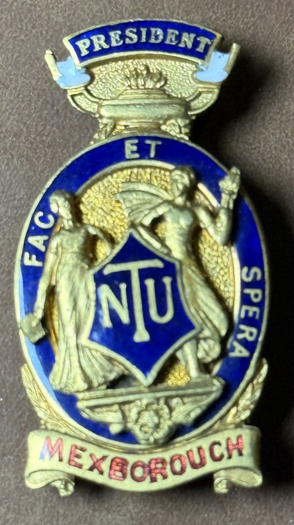 National Union of Teachers: President - Durham City Division