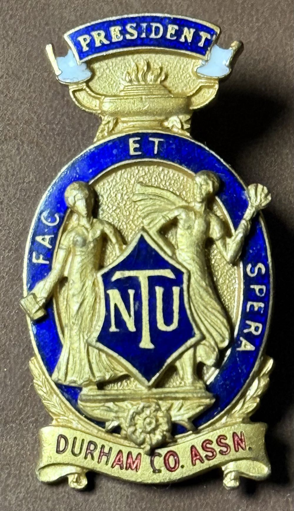 Disney Vacation Club Stitch