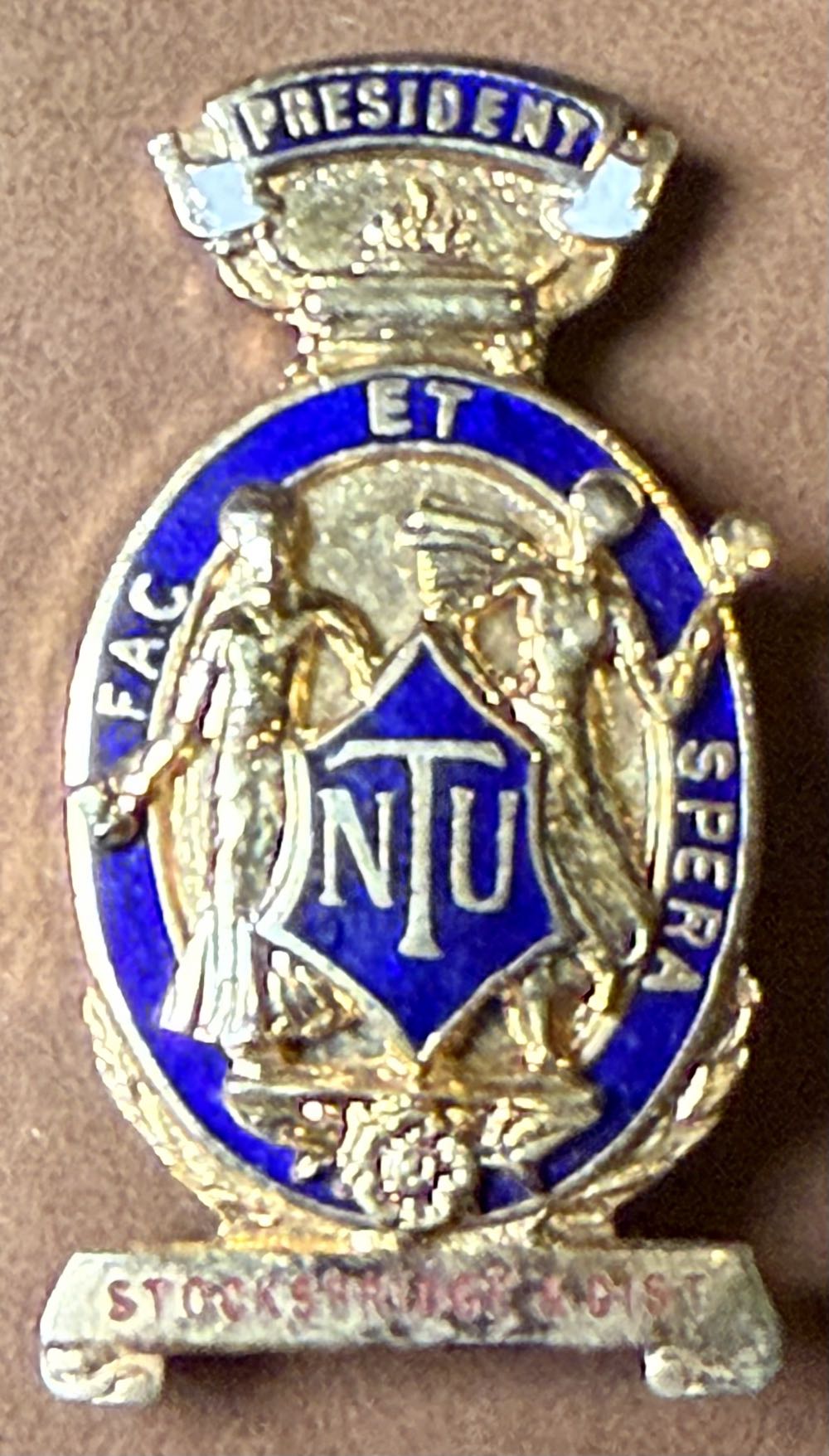 Belle Princess Pastries